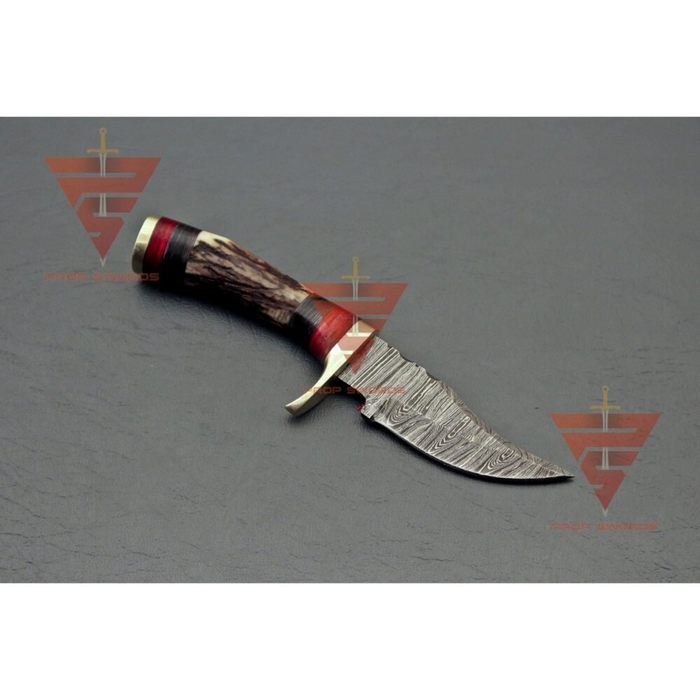 Shop Secondary Image